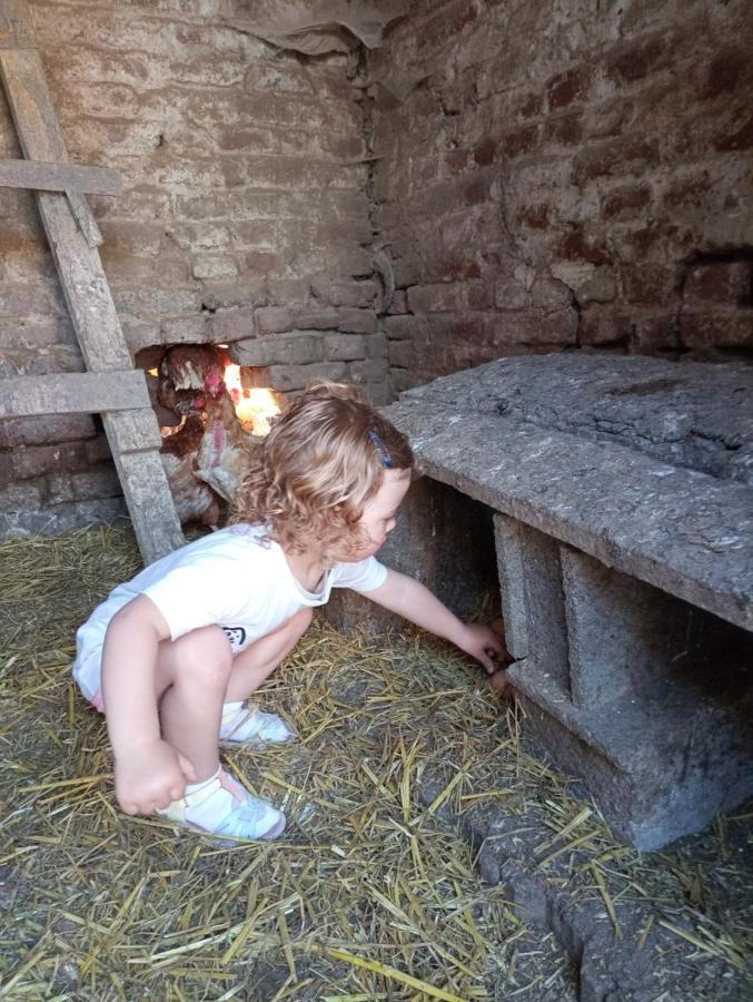 Escaudoeuvres Gite A La Ferme Chez Magali מראה חיצוני תמונה